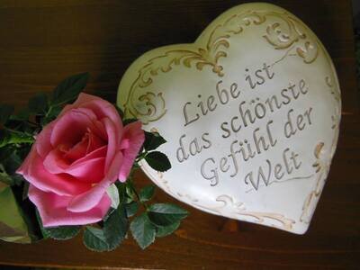 Beraterin Birgit - Bild 2